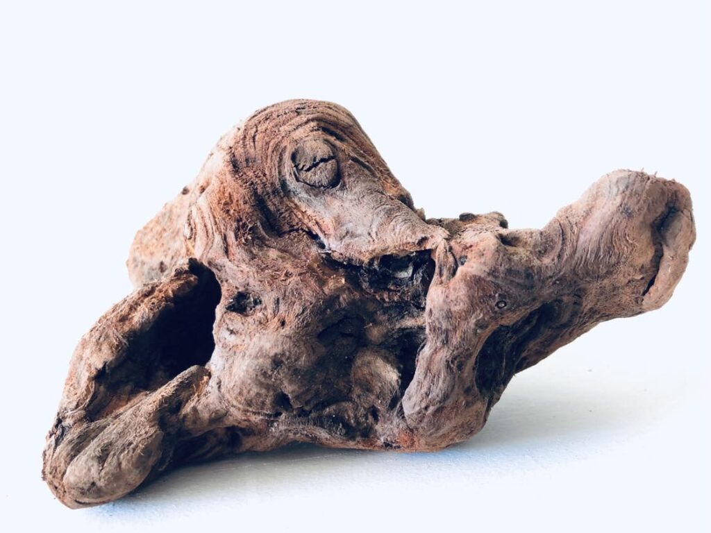Juniper Driftwood Collections